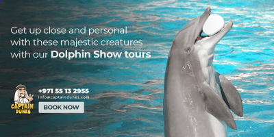 Dolphin Show Dubai: A Spectacular Aquatic Experience